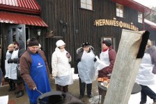 img_0568
